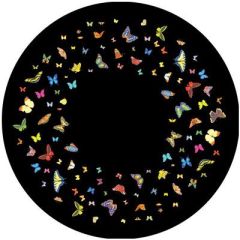 Magnetic Four Seasons Effect Wheel - Summer