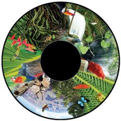 Magnetic Effect Wheel - Jungle