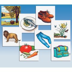 Vocabular: Vocabulary Cards - 180 Cards